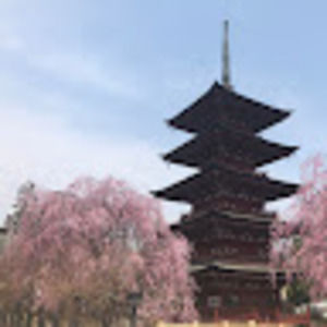 Meet your Posher, Jess